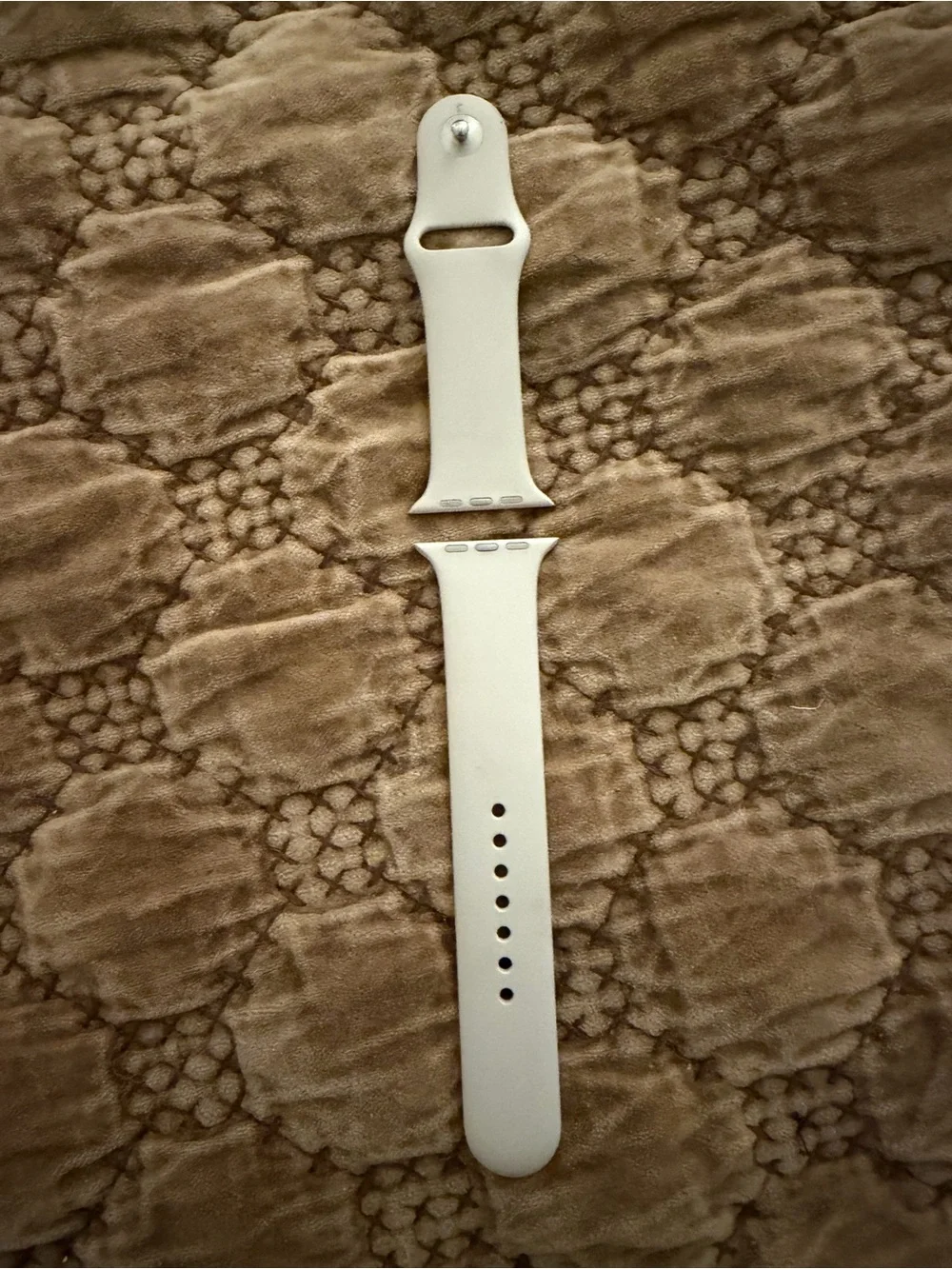 Apple silicone sport